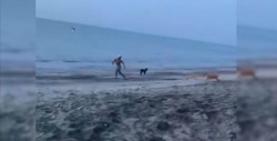 Intenta patear a un perro y el karma lo castiga de inmediato