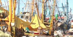 Próxima Feria de Empleo en el muelle del Parque Bonfil