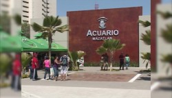 El Acuario se enfoca en puentes y días festivos de mayo