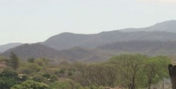 Enfrentamiento en Sitio de Abajo, Badiraguato