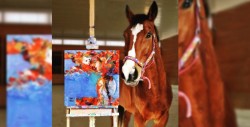 Este caballo salvó su vida gracias al arte