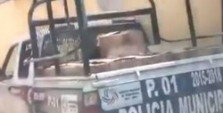 Usan patrulla municipal para transportar cartones de cerveza
