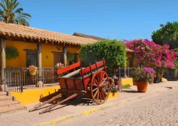 Competirá El Quelite con otros 100 pueblos