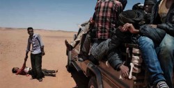 Encuentran a 44 emigrantes muertos en el Sahara