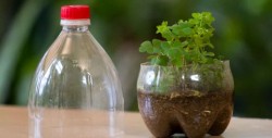 Ideas prácticas para reciclar botellas de plástico