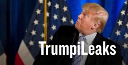 Lanzan web TrumpiLeaks para denunciar al magnate