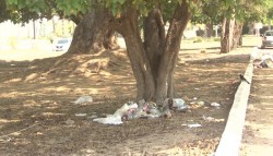 Descuidado camellón de la avenida Sábalo Cerritos