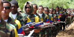 FARC inicia entrega final de armas a ONU