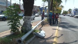 Sustituyen luminarias en avenida Gutiérrez Nájera
