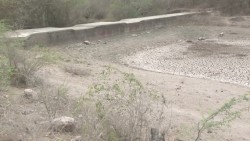 Sequía afecta a 400 comunidades de Sinaloa
