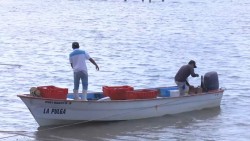 Llegan apoyos del pro- pesca a la zona norte de Sinaloa