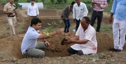 En tan solo 12 horas India plantó más de 66 millones de árboles