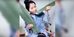 Vloggera muerde agave pensando que es sábila y se intoxica