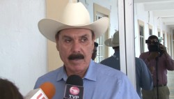 Rastro TIF ampliará panorama para productores de carne