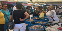 El turismo quiere conocer a las changueras...¡más que consumir!