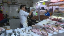 Revisa Coepris establecimientos para evitar riesgos sanitarios