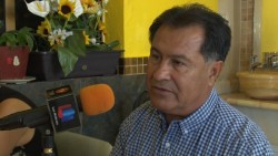 Productores de trigo no están satisfechos con precio objetivo pactado