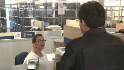 Aumentan trámites administrativos por bienes y propiedades