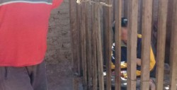 Niño con problemas mentales es enjaulado para que no se escape
