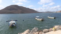 Pesca furtiva provoca muerte de peces en bahía de Topolobampo