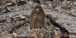Estatua de la Virgen no sufre daños por huracán Harvey