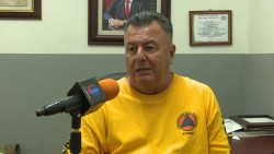 Constantes ataques de abejas en Ahome: PC
