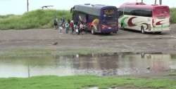 Lo moscos molestan más... que no encontrar estacionamiento