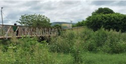 Detrás de la maleza... ¡Hay un jardín de niños!