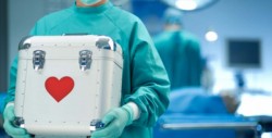 Estos son los órganos que puedes donar aún vivo