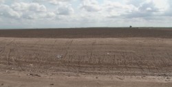 Productores endeudados y sin apoyos