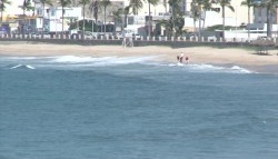 Psicosis aleja a bañistas de las playas