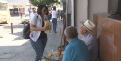 Flor de calabaza, con propiedades nutritivas