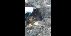 #Video Rastreadoras localizan fosa en San Ignacio