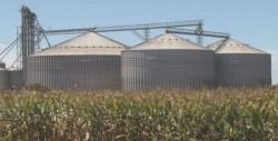 Pagará SAGARPA 77 mdp a productores agrícolas