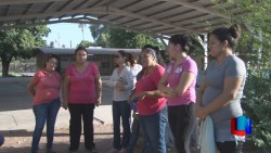 Padres temen por crías de culebra en primaria