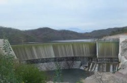 Baja producción de tilapia en la Presa Picachos