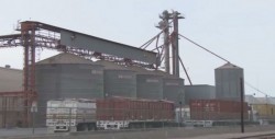 Pagados 63 millones de pesos al "copete" del maíz