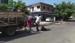 Bachean avenidas de Mazatlán
