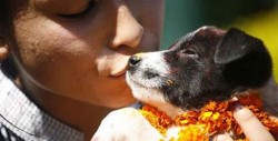 Kukur Tihar: un homenaje a los perros