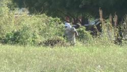 Dan seguimiento a demandas ciudadanas en Pradera Dorada