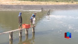 Urge una nueva ley de Pesca y Acuacultura