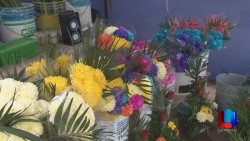 Suben de precio flores