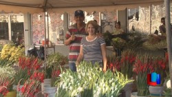 Reubican a vendedores de flores
