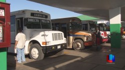 Piden que la Dirección del Transporte sea Secretaría