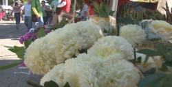 Tardanza en la entrega de precios de flores