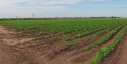 Acuerdan 12 mil millones de pesos para comercialización