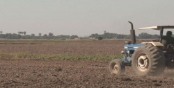 Harán válido el seguro catastrófico