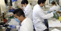 Premian a científicos de la UNAM por estudio del cáncer de mama