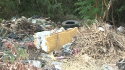 El estero es un basurero clandestino