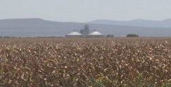 Foro Nacional en Sinaloa para distribuir presupuesto